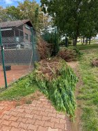 arbeitseinsatz_2026_03
